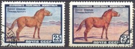 R118 - URSS - CCCP - RÚSSIA - CAVALO - VARIEDADE